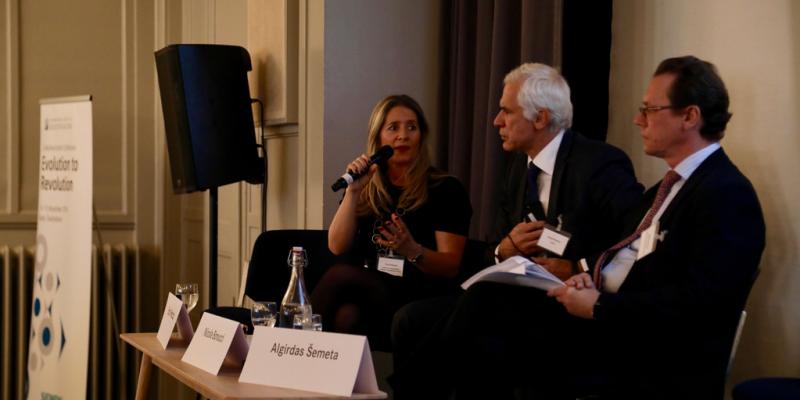 Discussing the HLRM at the Collective Action conference 2018.