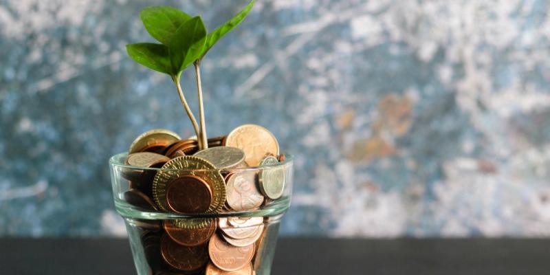 Plant growing out of a pot of coins. Photo by Micheile Henderson on Unsplash