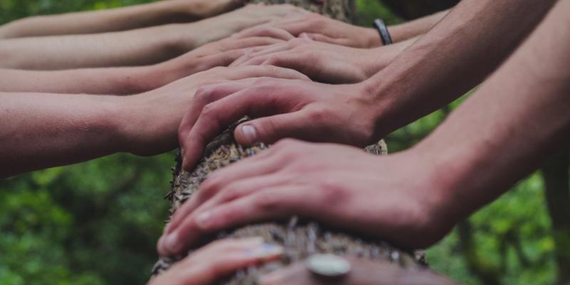 Hands on a tree trunk