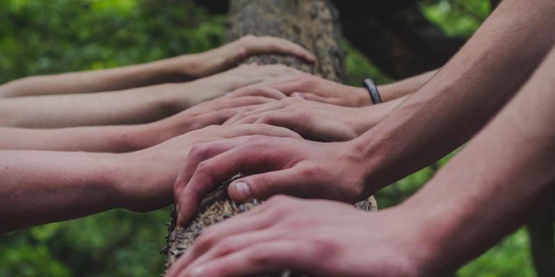 Hands on a tree trunk. Photo by Shane Rounce on Unsplash