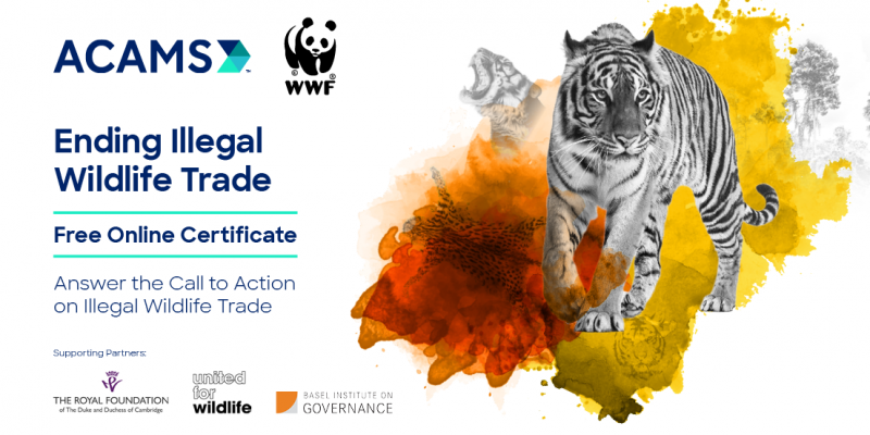 ACAMS-WWF IWT Online Course flyer