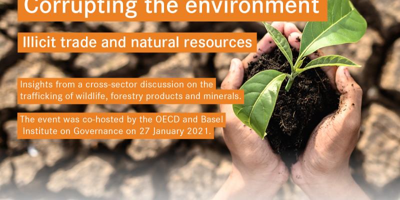 Illicit trade in natural resources webinar